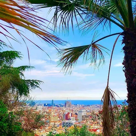 旅馆 巴塞罗那地中海旅馆 巴塞罗那